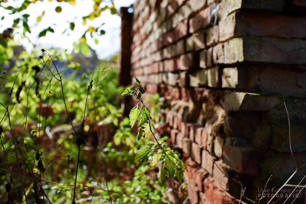 Brandenburger Herbst-image-5