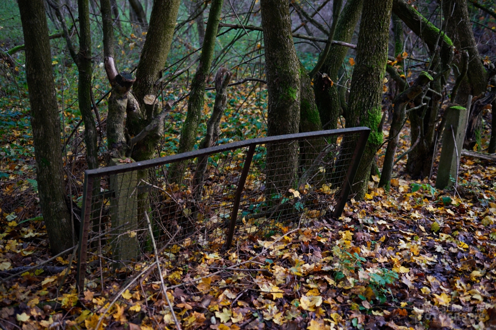 Brandenburger Herbst-image-6