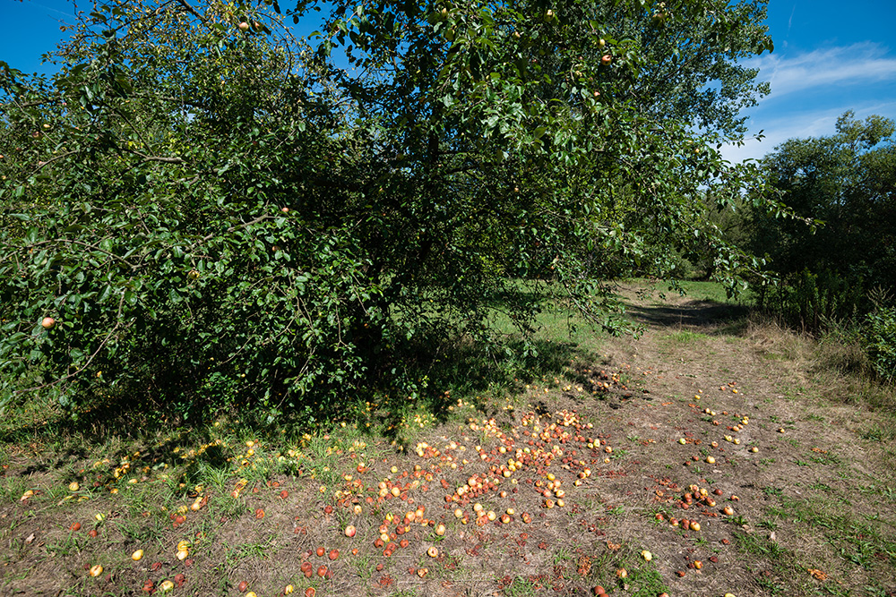 Melnik, Tschechien-image-11